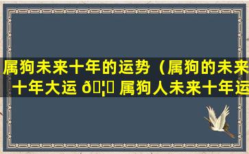 属狗未来十年的运势（属狗的未来十年大运 🦄 属狗人未来十年运势预测）